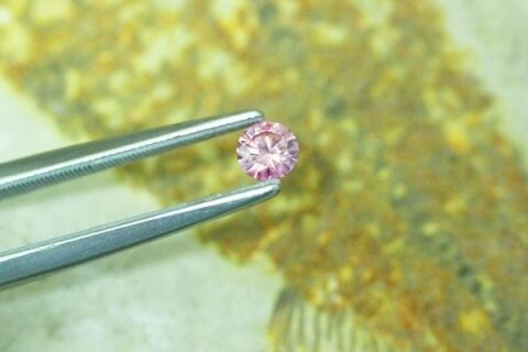 Pink_Argyle_Fossil