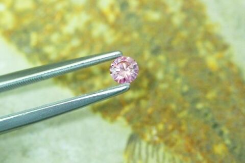 Pink_Argyle_Fossil